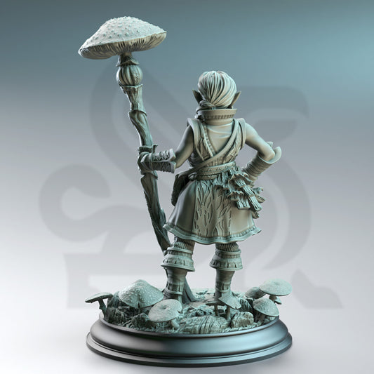 Cordelia the Homestead Hermit - Halfling Druid - Back