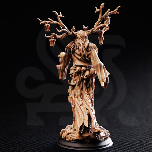 Elderwood Draugr - Back