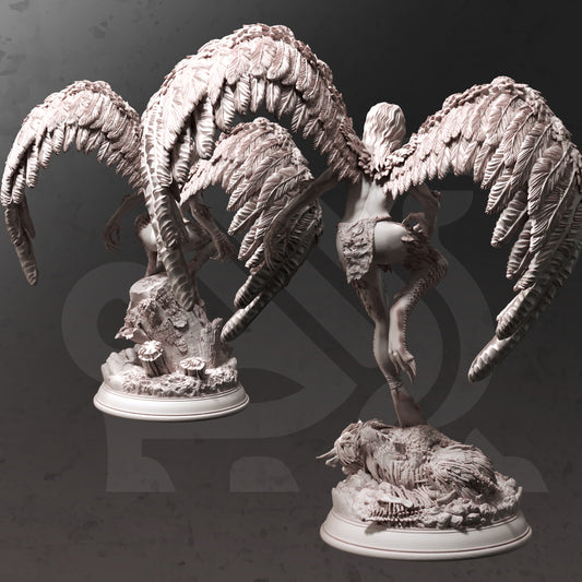 Hyl Hygrie – Hill Harpies