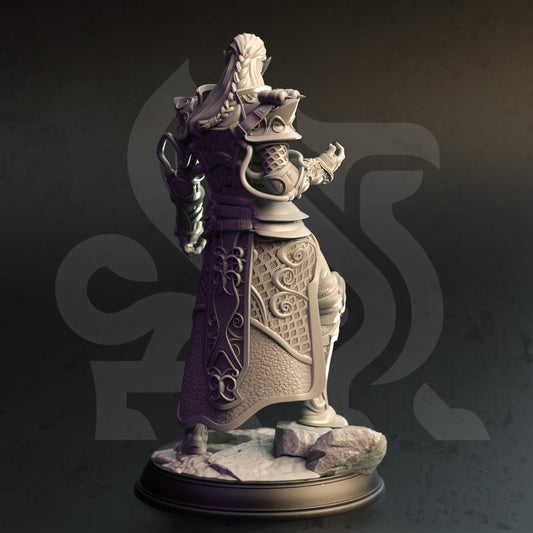 Netros of House Verani - Arcane Artificer
