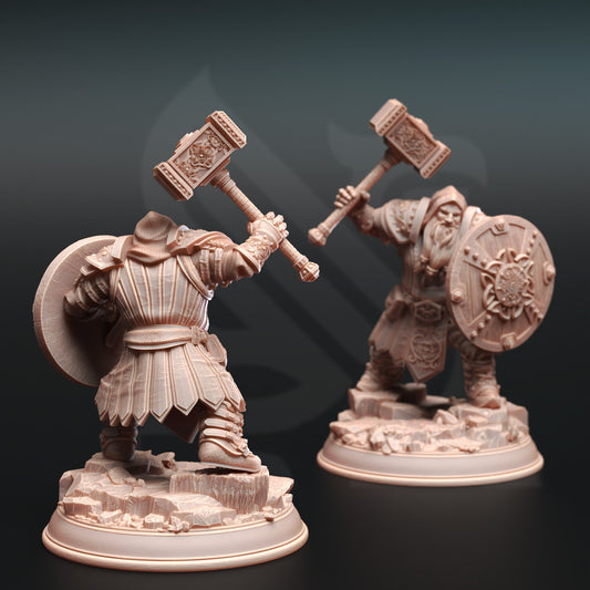 Tors of Delvdor - Dwarven Cleric - Back
