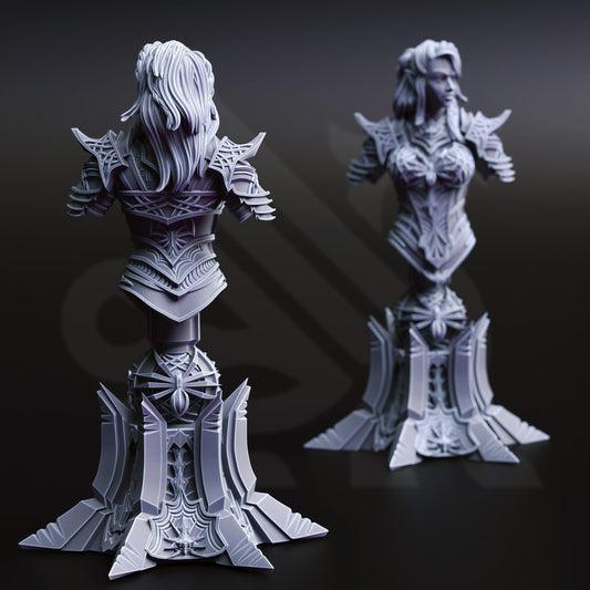 Vakara N’thara - Drow Assassin - BUST Back