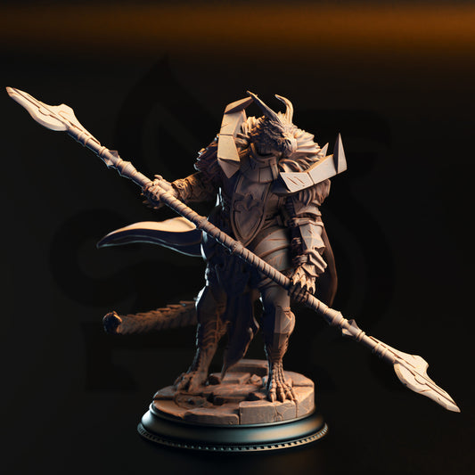 Apokris the Resolute - Silver Dragonkin Paladin - Front