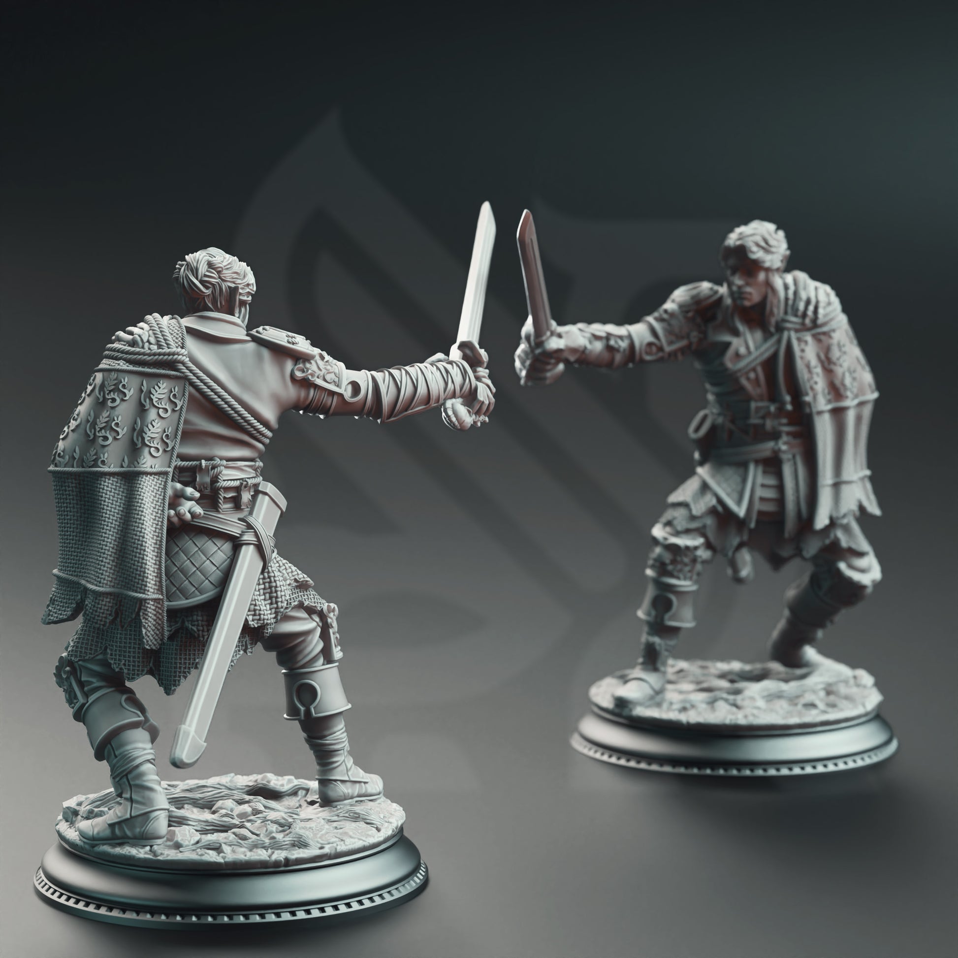 Corin of Lamhet - Half Elf Duelist - Back