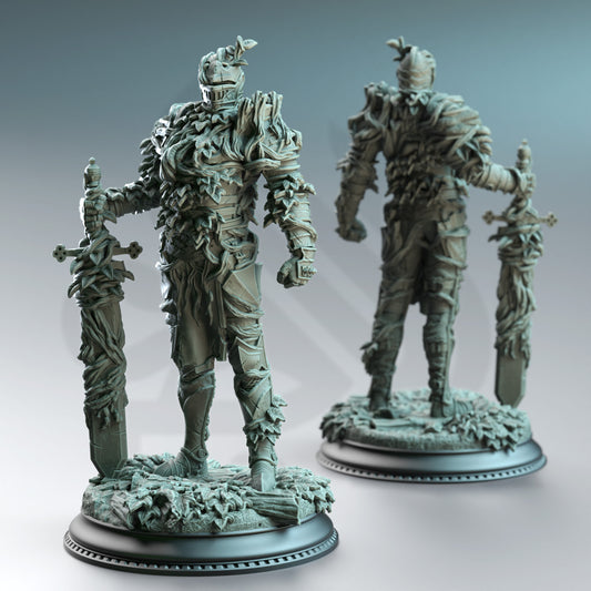 Forgotten Knights - Vine Possessed Armour 2 - Front