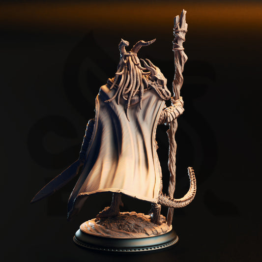 Horzin Ashen-Palm - Black Dragonkin Druid - Back