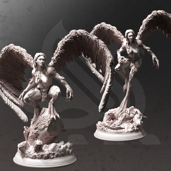 Hyl Hygrie – Hill Harpies