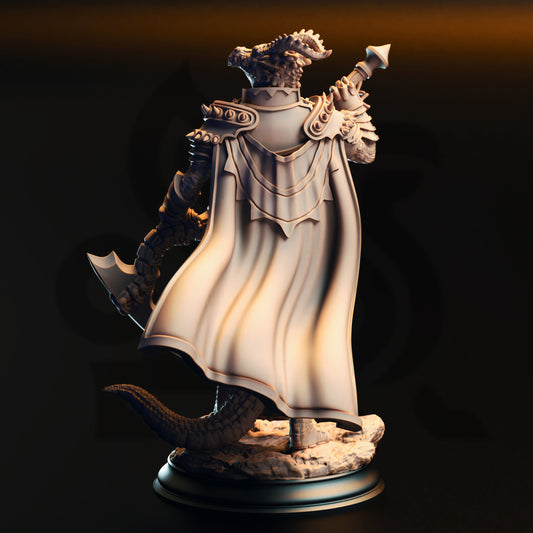 Ilvias the Reaper - Silver Dragonkin Warlock - Back