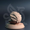 Mimic Clam - Back
