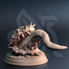 Mimic Clam - Shifted - Front