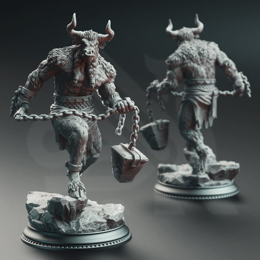 Minotaurs of the Labyrinth_s Depths 1 - Front