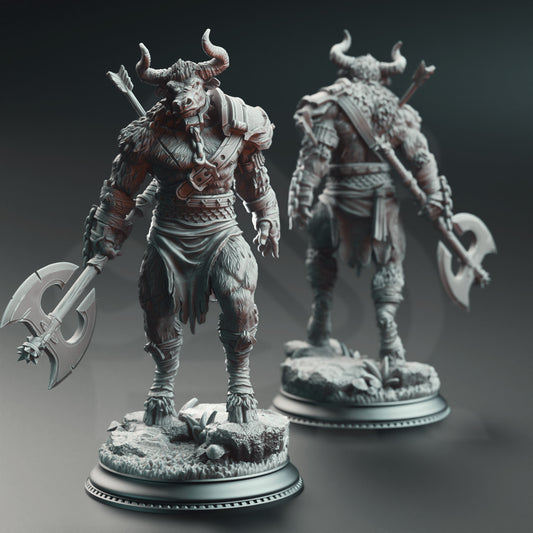 Minotaurs of the Labyrinth_s Depths 2 - Front