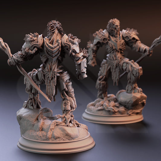 Myrion Stoneheart - Soulforged Druid - Back