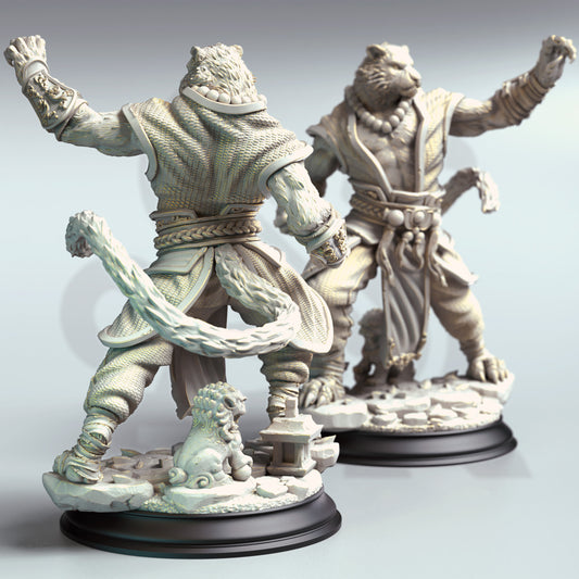 Raiko - Tiger Monk - Back