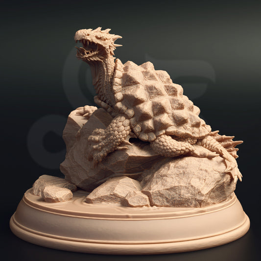 Testidi - Dragon Turtle Hatchling - Front
