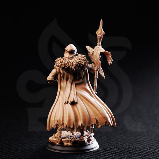 The One Eyed Wanderer - Back