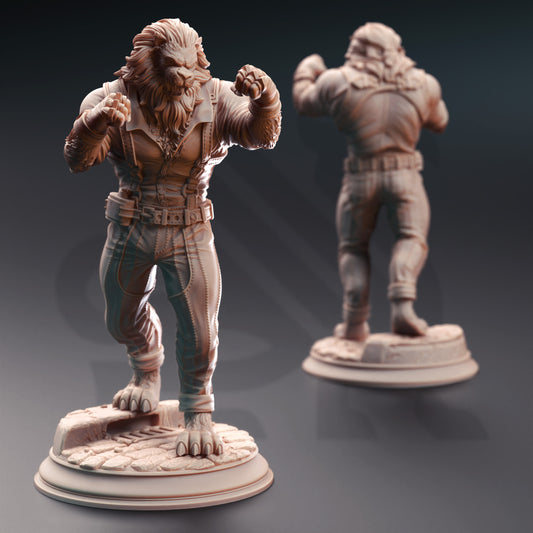 Vaa’dren Snowmane - Lionfolk Bouncer - Front