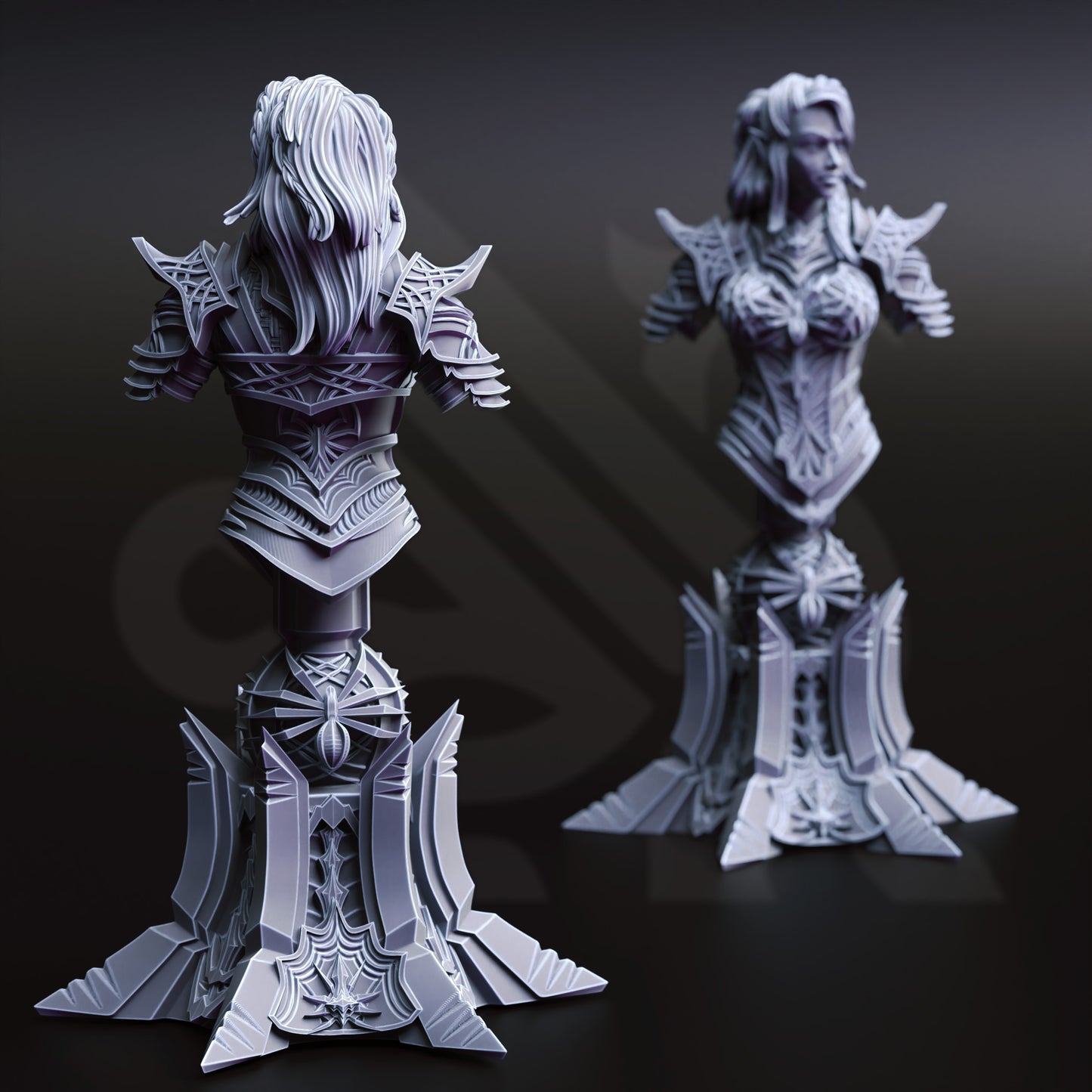 Vakara N’thara - Drow Assassin - BUST Back