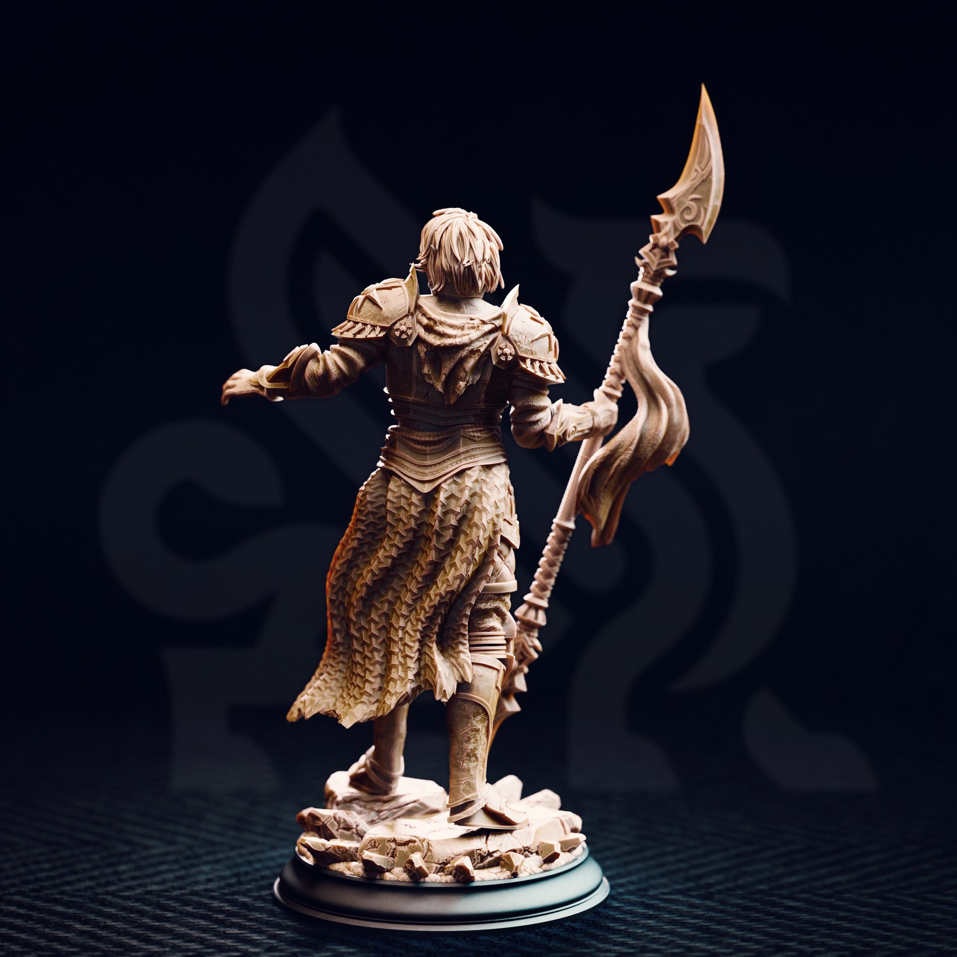 Vendimar Thyran - Dark Sun Paladin - Back