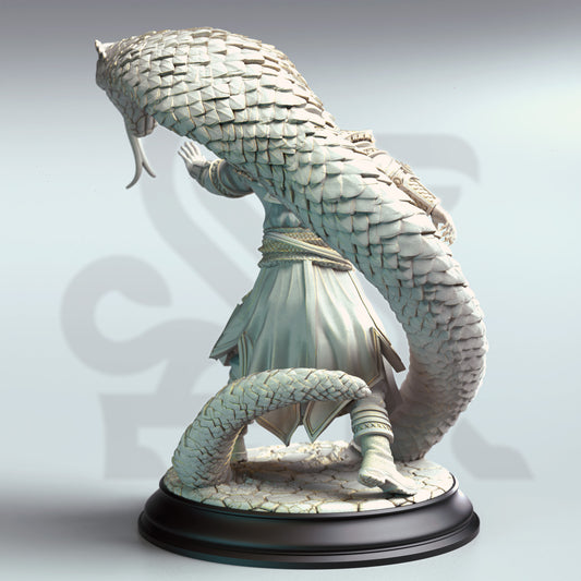 Yin Zhu - The Snake Charmer - Back